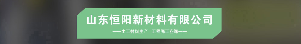 山東恒陽(yáng)新材料有限公司介紹